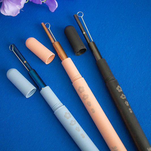 Blossom V2 Stainless Steel Straw Set (Online Only)