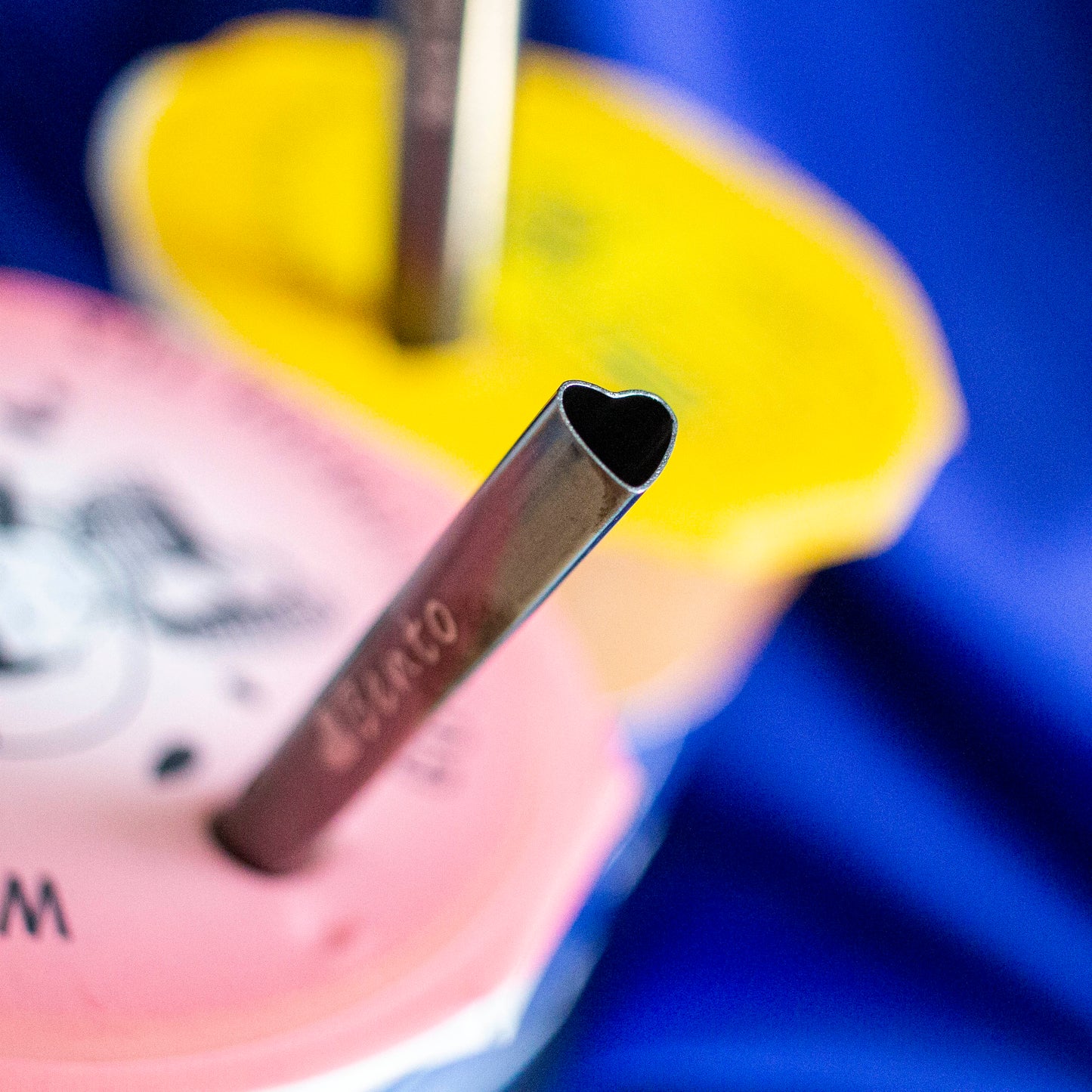 Bento Stainless Steel Straw Set